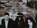 THE BLACK CROWES 2 LP MINT