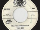 FERN DEE/GROUP Hello Mr. Dream Man/You'll Never Know R&B DOO WOP 1958 45RPM