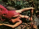 Roxy Music - Stranded - Half Speed Mastered Vinyl LP