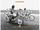 FLOWER TRAVELLIN' BAND: Anywhere                        picture disc       LP re