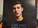 SHAWN MENDES - HANDWRITTEN; Blue Vinyl; feat Something Big & Life Of The Party