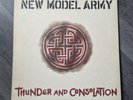 New Model Army  Thunder And Consolation UK LP Album 1989 Vinyl - Excellent Cond