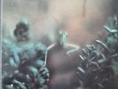 Steely Dan ‎– Katy Lied 1st USA press near mint