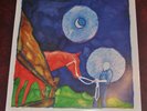 Calexico/Iron and Wine - In the Reins, 2005 Overcoat 12