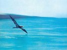 A602527278841 Chick Corea - Return To Forever 180 Gram Vinyl Record