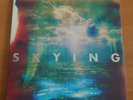 Skying by The Horrors (2011) plus Art Prints
