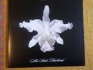 Kings Of Leon - Aha Shake Heartbreak 10