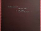 Seefeel - Succour 2LP * Warp Records 1995 * Original