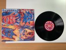 Levellers Zeitgeist Album