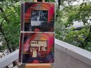 CHESKY RECORDS 96/24 SUPERAUDIODISC SARA K. E BABATUNDE OLATUNJI