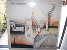 THE CHAMELEONS .X2 LPs - great condition.