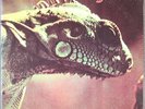 Iguana S/T LP Lion LN-1011 WLP