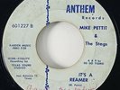 Mike Pettit & The Stags 