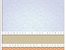 Streetlight Manifesto - Somewhere in the Between Vinyl Record LP