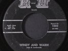 DEL-RAYS: night prowl / windy and warm R AND H 7