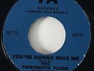 13th Floor Elevators 