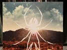 Danger Days: True Lives Of The Fabulous Killjoys by My Chemical Romance Vinyl
