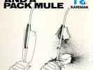 RAPEMAN Two Nuns And A Pack Mule LP NOISE ROCK Punk Rock REISSUE Steve Albini