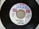 JOHNNY REBEL 45 WHO LIKES A N***** REB REBEL RECORDS 1960s POLITICLY INCORRECT