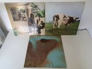 Pink Floyd - 3 x Lps - Ummagumma, Atom Heart Mother, Meddle - Early Pressings