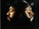 The Strictly Jaz Unit ‎– The Tempest : SJUDLP001 NEW VINYL 2LP DEEP HOUSE / ACID
