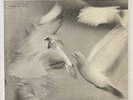 Donald Byrd Free Form w/ Wayne Shorter & Herbie Hancock  Blue Note LP