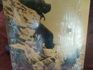 U2 One / Satellite Of Love / Lady With The Spinning Head 33 RPM BEAUTIFUL VG+