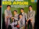 LOS APSON LP / FUE EN UN CAFE / record vinyl 33 rpm / ECO  rock & roll