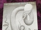 the chameleons vinyl