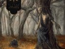FIRES IN THE DISTANCE - ECHOES FROM DEEP NOVEMBER   VINYL LP NEW