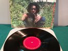 Peter Tosh Legalize It LP-COLUMBIA Records PC 34253-Vinyl Excellent