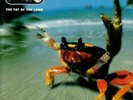 The Prodigy - The Fat Of The Land (25Th Ann. Ed (2022) 2 LP Vinyl Pre Order