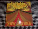 SAVOY BROWN RAW SIENNA 1ST DECCA 1970 1pw1pw g/f vgc plus SKL5043 9 tracks rock