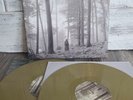 Taylor Swift Folklore 2022 Gold Trees wax - Vinyl Record LP Album