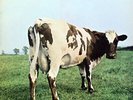 Pink Floyd Atom Heart Mother NEAR MINT Harvest Vinyl LP