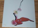 future islands - the far field white vinyl  pressing SIGNED INSERT