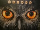 Light In The Dark by Revolution Saints ( New never opened )