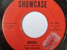 The Delcos Arabia Showcase Northern Soul R&B Oldie