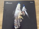 The Courteeners-Falcon 12