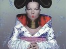 Björk  Homogenic Vinyl DMM 45rpm