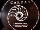 Vtg CARDAS Frequency Sweep RECORD Album Burn-In Degauss 1993 Audiophile