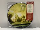 The Doors - Morrison Hotel - Limited Edition Picture Disc Vinyl - 2020