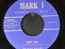 MUSIC MASTERS: vapor trails / the other side of the moon MARK I 7