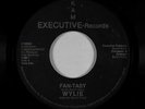 Modern Soul Boogie 45 - Wylie - Fan-Tasy - Kam Executive - VG++ mp3