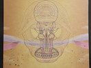 DEVENDRA BANHART WHAT WILL WE BE LP 2lp Oop 180 Gram