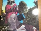 J J CALE lp Naturally PHILIPS HOLLAND PRESSING VINYL RECORD ALBUM