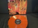 Slayer Hell Awaits LP Orange Vinyl Record out of print  Thrash Metal Metallica