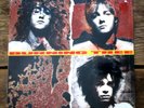 BURNING TREE - Self-titled (1990) Vinyl, LP Epic E 45464 - SEALED  - Rock - NM