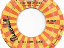 LITTLE JIMMY GANDY I'm Not Like The Others on Roulette northern soul 45 HEAR