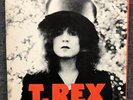 T REX The Slider LP Vinyl 1st Press Reprise Records MS 2095 Gatefold 1972 EX/EX